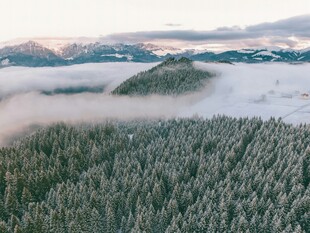 山林云海间的壮美景观