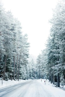 冬日雪覆林间路