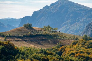 山间多彩景致田园风光