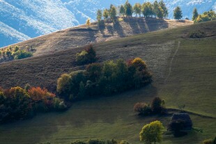 秋日山坡美景