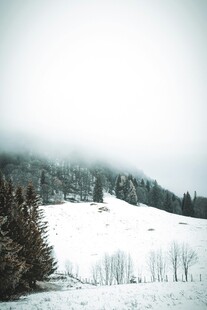 雪覆山林的静谧冬日景象