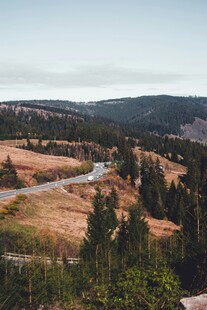 山间蜿蜒公路与葱郁树林