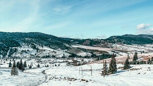 冬日雪山松林美景