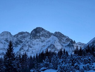 雪覆山峦与松林美景