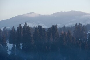山林晨景 薄雾缭绕