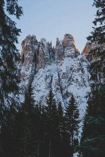 雪覆山峦间的葱郁林木