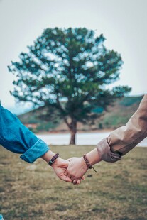 情侣牵手漫步于绿树草地