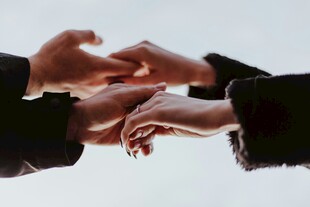 携手共进
