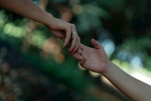 伸手相牵的温暖瞬间