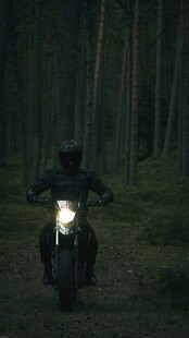 夜林骑行者