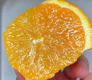 橙子