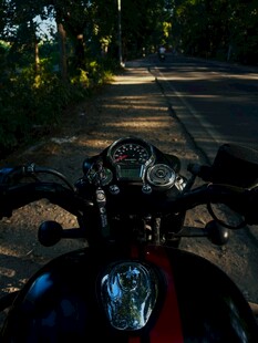 骑行视角下的林间道路