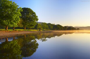湖畔晨光绿树倒影美景