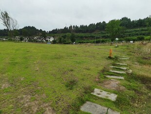 乡野