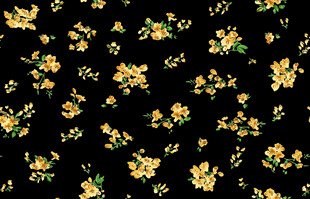 黑色底黄色花卉图案