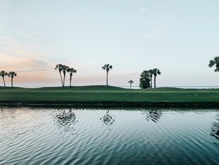 湖畔椰树映夕阳美景