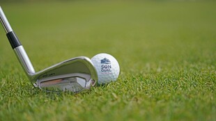 高尔夫球与球杆特写