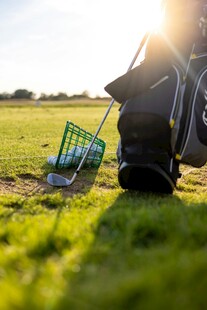 草地旁的汽车与绿色篮子