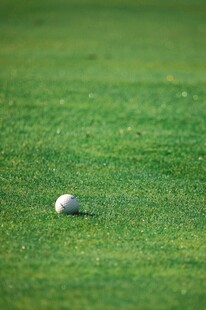 绿茵上的高尔夫球