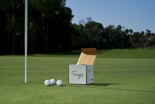 高尔夫球与球盒在草地