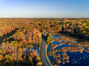 秋日湿地蜿蜒公路美景