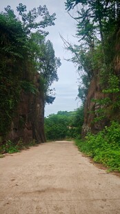 乡间小路