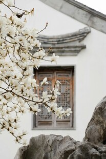 中式庭院窗前绽放的繁花