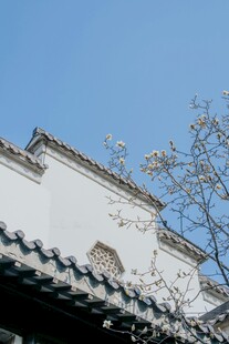 中式屋檐与枝头春色