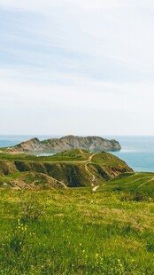 海岸边的翠绿草地与崖壁