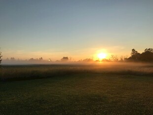 日出时分的开阔草地美景
