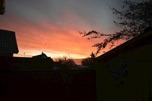 夕阳下的房屋与树梢美景