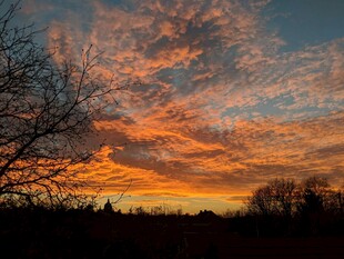 夕阳下绚烂天空与树木