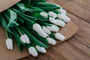 白色郁金香花束置于木面