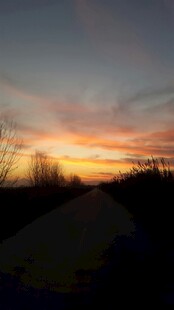 黄昏下的静谧道路