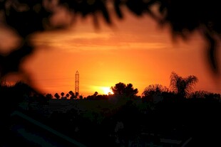 夕阳下的剪影美景