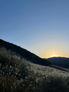 夕阳下的原野美景