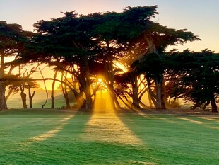 夕阳下的林间草地美景