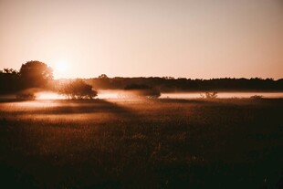 夕阳下田野的梦幻光影
