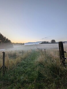晨雾中的田野围栏美景