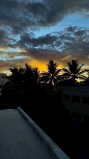 黄昏下的椰林天际美景