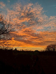 夕阳下绚烂天空与树木