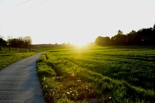 夕阳下的田野小路