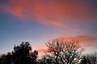 夕阳下的树木与绚烂天空
