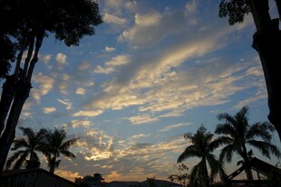 夕阳下的棕榈树与绚丽天空