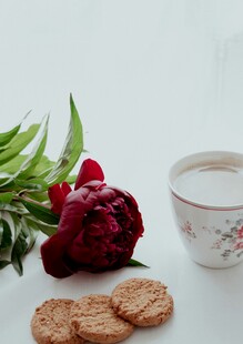 花茶配点心与娇艳牡丹
