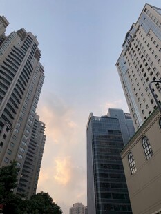 城市高楼景观