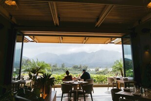 户外餐厅惬意用餐景致