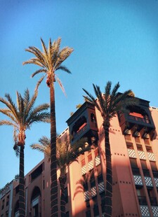 夕阳下的棕榈树与建筑