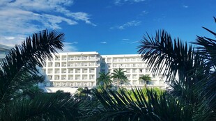 透过枝叶看宏伟建筑