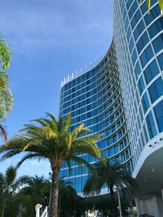 现代海滨摩天大楼与棕榈树